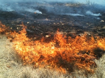 Այրվում են Սյունիքի մարզի անտառները. Հայկ Բար...
