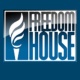 Անհանգստացած ենք Հայաստանում ոստիկանական բռնության դեպքերի աճով. Freedom House