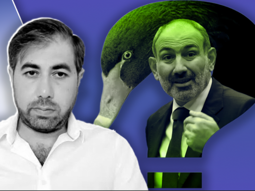 Փաշինյանի համար Սև կարապը կարող է հայտնվել ան...