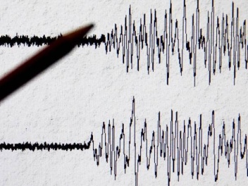 На западе Ирана произошло землетрясение магнитудой 4,5