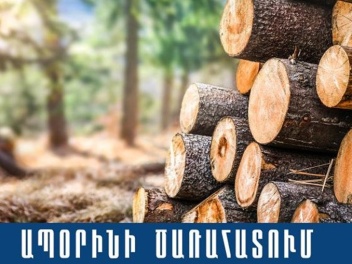 41-ամյա գոգարանցին ապօրինաբար ծառեր է հատել