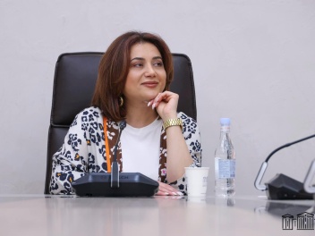 Հողամաս, բնակելի տուն, հիփոթեքով բնակարան. Տաթեւիկ Գասպարյանի հայտարարագրի հետքերով. «Ժողովուրդ»