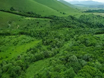 «10 մլն ծառ տնկելու ծրագիրը ի՞նչ եղավ, թեման...