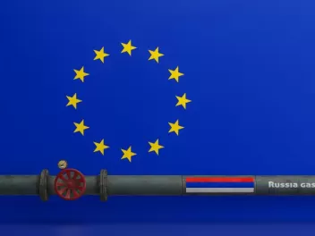 ԵՄ-ը մտադիր է շարունակել արգելել ՌԴ գազի ներմ...