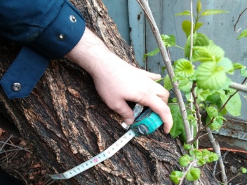 Աջափնյակում ծառերի արմատների վնասման դեպքով Բ...