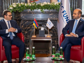 ՀՀ ԱԳ նախարարի տեղակալն ՕՊԵԿ-ի նախագահի հետ ք...