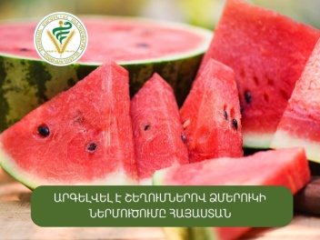 Արգելվել է շեղումներով ձմերուկի ներմուծումը Հ...