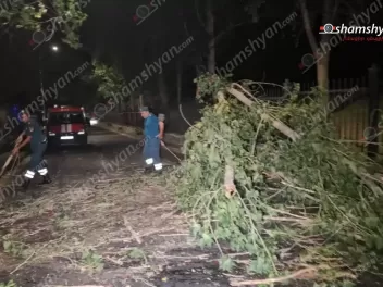 Երևանում «Մոնտե Քրիստո» ռեստորանի մոտ հսկայակ...