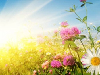 Օդի ջերմաստիճանը կբարձրանա 2-4 աստիճանով