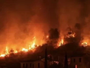На Кипре из-за природных пожаров погибли два...