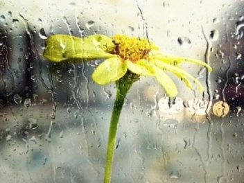 Սպասվում է կարճատև անձրև և ամպրոպ