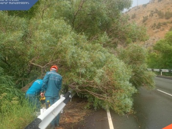 Երևան-Մեղրի ավտոճանապարհին ծառ է ընկել