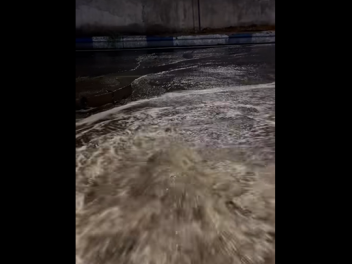 Պոզով-պոչով կորուպցիոն կենդանին բարգավաճում ու ծաղկում է Արգիշտի 1 հասցեում. Ստեփանյան