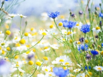 Սպասվում է առանց տեղումների եղանակ