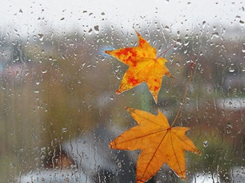 Կեսօրից հետո սպասվում է անձրև