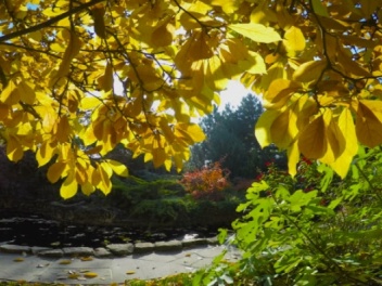 Սպասվում է առանց տեղումների եղանակ