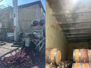 Կասեցվել է «Գրեգորիան» ՍՊԸ-ի գինnւ արտադրամաս...