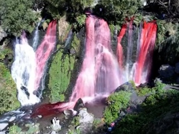 Շաքիի ջրվեժում «գենդեր փարթի» իրականացրածները տուգանվել են