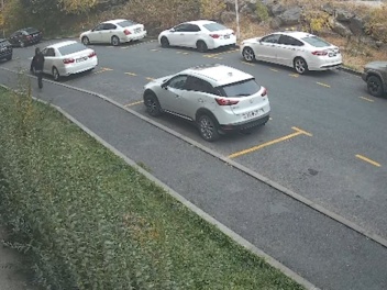 Ավանի համայնքային ոստիկանները բացահայտել են Ծ...