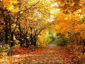 Օդի ջերմաստիճանը աստիճանաբար կբարձրանա
