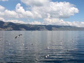 Սևանա լճում սիգի արդյունագործական որսը 2025-ի...