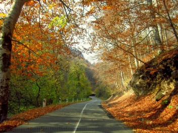 Սպասվում է առանց տեղումների եղանակ