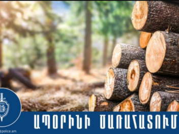 Տավուշի համայնքային ոստիկանները բացահայտել են...