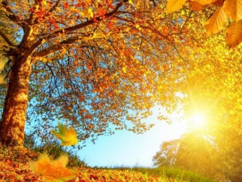 Սպասվում է առանց տեղումների եղանակ