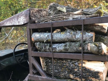 Իջևանում բացահայտվել է ապօրինի ծառահատման դեպ...