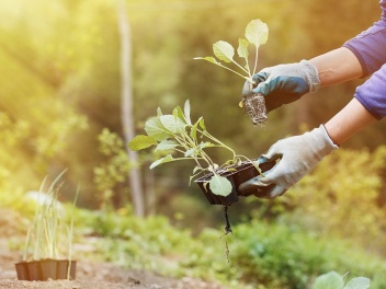 2026 թվականին պետբյուջեից նախատեսվող 74.5 մլր...