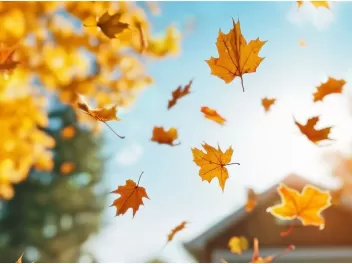 Սպասվում է առանց տեղումների եղանակ