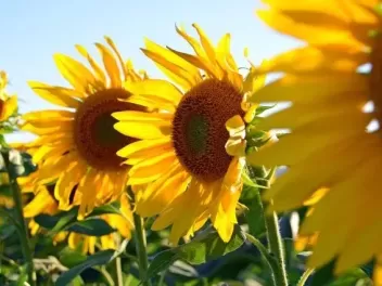 Օդի ջերմաստիճանը կբարձրանա