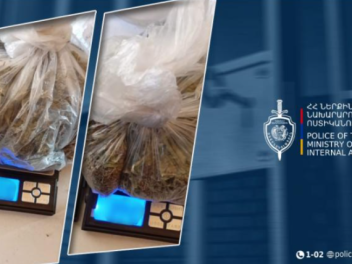 Նոր Նորքի համայնքային ոստիկանները կանեփ աճեցն...