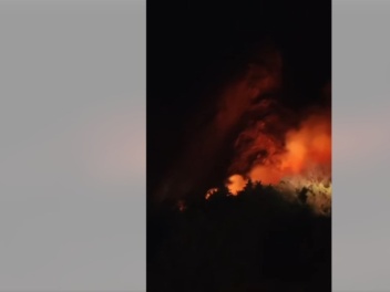 Իջևանի անտառտնտեսությունում բռնկված հրդեհը մա...