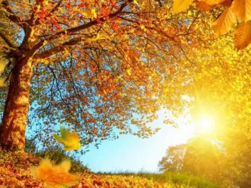 Սպասվում է առանց տեղումների եղանակ