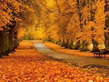 Սպասվում է առանց տեղումների եղանակ