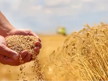 Հոկտեմբերին պարենային ապրանքների համաշխարհայի...