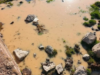 ԲԸՏՄ-ն վարչական վարույթ է հարուցել՝ Ամուլսարի...