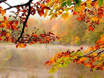 Սպասվում է առանց տեղումների եղանակ