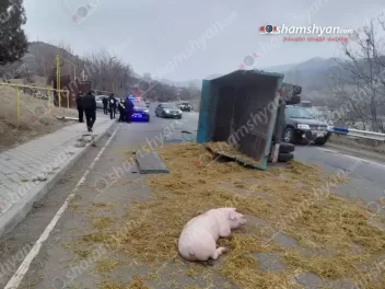 Վայոց ձորում բախվել են «Honda CR-V»-ն և խոճկո...