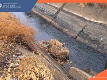 Փրկարարները շանը դուրս են բերել ջրանցքից