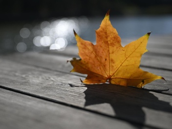 Առաջիկա 10 օրերին էլ ձյուն չի լինի. կլինի պար...