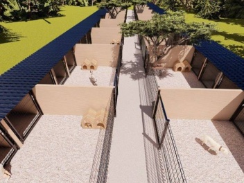 Երևանում կկառուցվի անտուն շների կացարան