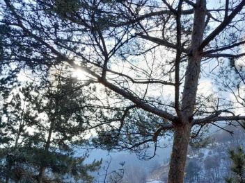 Սպասվում է առանց տեղումների եղանակ