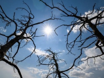 Սպասվում է առանց տեղումների եղանակ. օդի ջերմա...