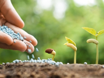 ԵԱՏՀ-ն զրոյացրել է ֆոսֆատների ներմուծման մաքս...