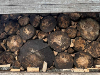 4000 խմ փայտանյութով 280 մլն դրամի վնաս են հա...