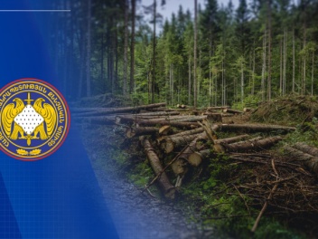 Ընկերության կողմից ոչնչացվել է 327 ծառ. պետու...