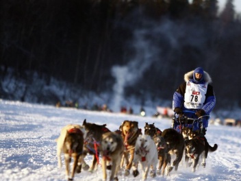 Գրենլանդիայում անցկացվող շների սահնակով մրցավ...