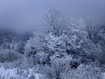 Սպասվում է ձյուն